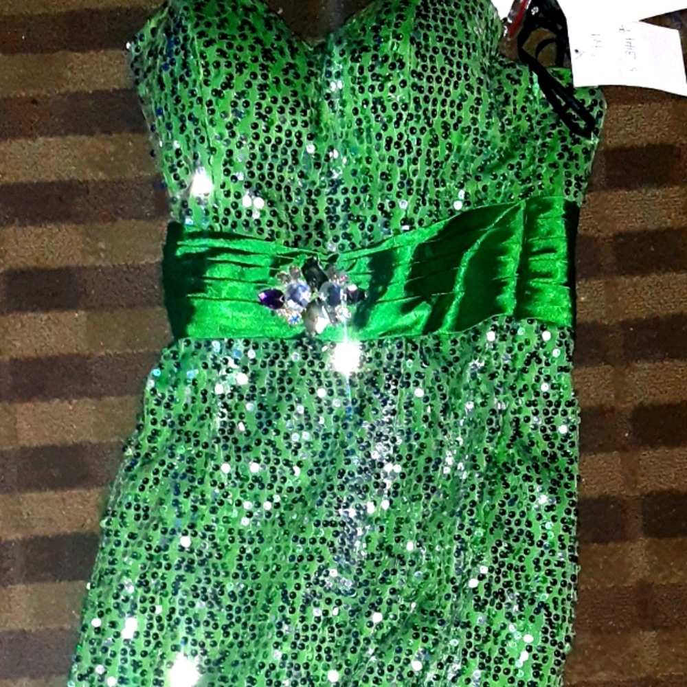 Alyce paris short dress